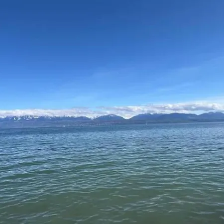 Superb In Lausanne! 公寓 *